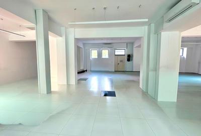 Pacurari - Mimoza! Spatiu comercial 345 mp + terasa 240 mp - 6