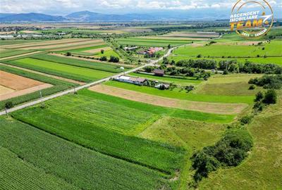 Oportunitate de investitie, PUZ aprobat: zona servicii - 6