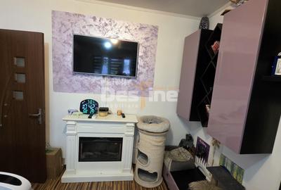 Apartament 2 camere, parter, zona linistita - 13