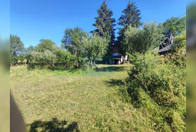 Teren 7200 mp, casa veche, apa, curent 35 km de Cluj Napoca, Topa Mica - 5