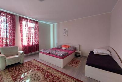 Casa mare, cu teren generos, pentru locuit sau afacere, in Santana - 2