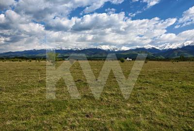 Teren agricol intravilan de 21573.5 mp, în Avrig