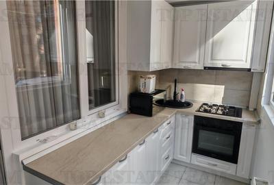 Apartament 2 camere,  complet mobilat, utilat modern, toate utilitatile, in Mili - 8