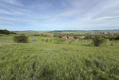 Teren Construcții intravilan de 14439 mp, în Jucu de Sus
