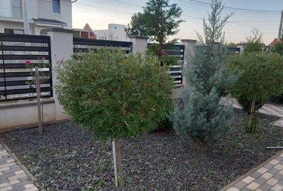 Casa premium cu piscina, panouri solare si teren de 520 mp – Giarmata Vii - 36