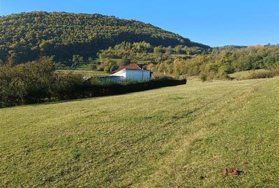 Teren de vanzare in Rasinari - 7