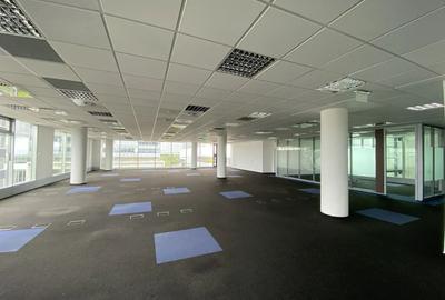 AFI PARK FLOREASCA - Building B - 7