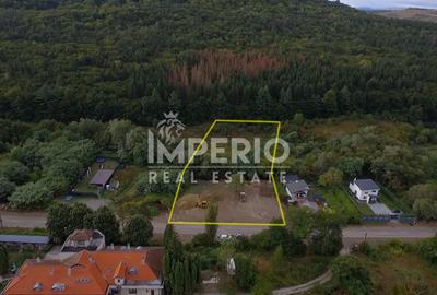 Teren autorizat pentru sala de evenimente/restaurant in Faget! - 2