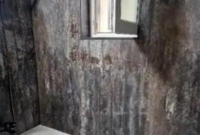 Iancului / Sachelarie Visarion/ et 4 / decomandat / renovat/ - 7
