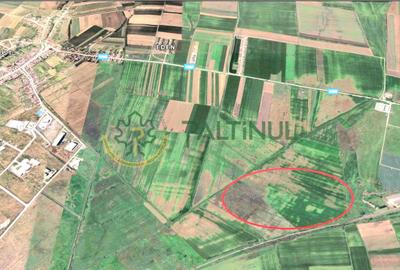 Teren agricol extravilan de 7100 mp, în Șura Mică