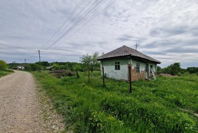 Mosoaia - casuta - Padurea Trivale - Teren intravilan - 11.275 mp/  4300 padure - 3
