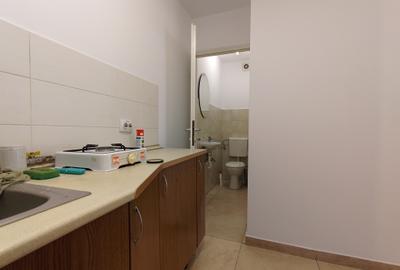 Spatiu comercial de inchiriat Motilor - 17