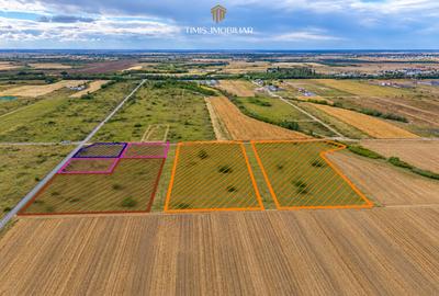 Terenuri 620–767 mp, CF individual – Moșnița Nouă | 0% comision - 12