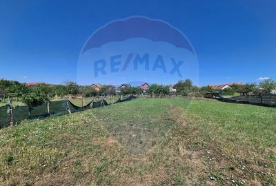 Casă / Vilă cu 3 camere de vânzare în zona Central - 6