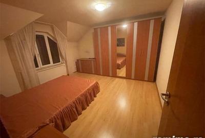 Casa familiala la intrare in Dumbravita Hotel Galaxy - 4
