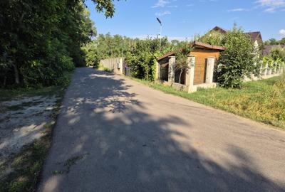 Clinceni str Ciocarliei,construibil,469mp,deschidere 21ml,utilitati,comision 0% - 2