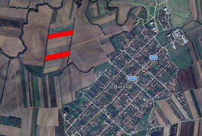 Teren agricol intravilan de 11600 mp, în Bucovăț (Remetea Mare)