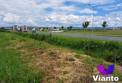 Oportunitate Teren Intravilan 9000mp-Turnisor - 3