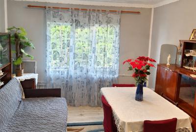 Apartament cu 2 camere semidecomandat, mobilat în Craiovița Nouă