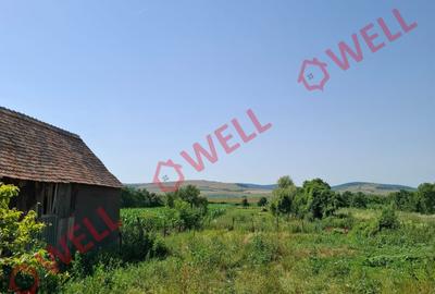 DE VÂNZARE TEREN INTRAVILAN ÎN BĂLĂUȘERI - 4