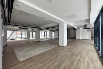 Spatiu comercial Tatarasi, langa Carrefour, 562mp - 13