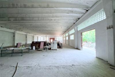 Hale din beton cu suprafata mare zona Cornisa - 3