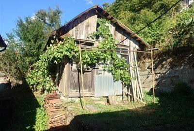 Casa si Teren Criscior - 17