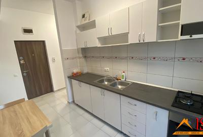 Garsonieră modernă de închiriat | DOAMNA STANCA, Șelimbăr - 5