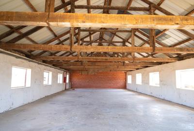 Spațiu industrial, 170 mp în Roșiori