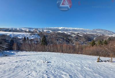 OPORTUNITATE RARĂ IN MOIECIU DE JOS ,Teren 10.669 mp la poalele Bucegilor - 18