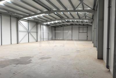 Hală industrială DN2 București-Urziceni, 1150 mp, 5250 euro + TVA - 1
