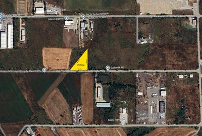 Teren Construcții intravilan de 2500 mp, în Bolintin-Deal