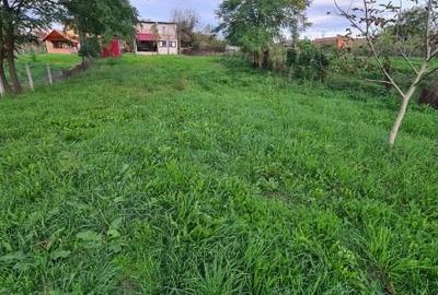 Casa noua P+1 curte si teren zona Streisangeorgiu - 22