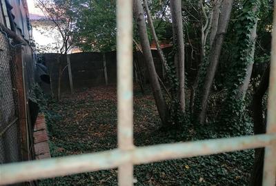 Casa Individuala zona Dambovita peste 450 Mp Teren - 15