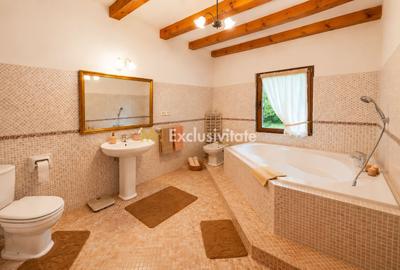 La Dolce Vita-casa vintage/moderna-Somesul Rece - 8