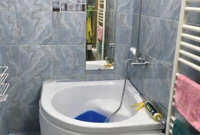 Casă individuală curte proprie Domenii | Grivița | Bd. Ion Mihalache - 7