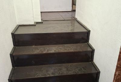 Apartament 3 camere in vila - zona Marriot - Uranus - 4