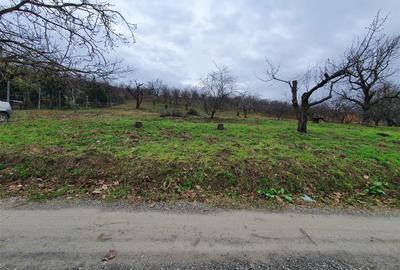 Teren Construcții intravilan de 3989 mp, în Podgoria
