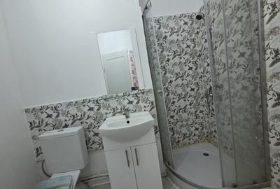 Particular, inchiriez apartament proaspat renovat Stefan cel Mare - 9