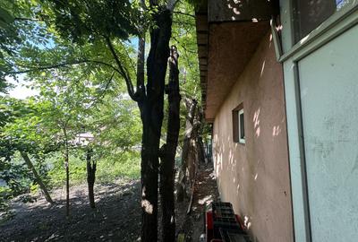 Casa 4 camere de vanzare | 660 MP teren | Mizil, Prahova | Comision 0% - 30