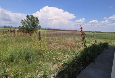 Hala de vanzare in Floresti - 10