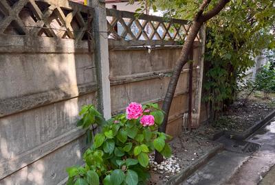 Corp casa pretabila firma/birouri zona Mosilor-Eminescu - 12