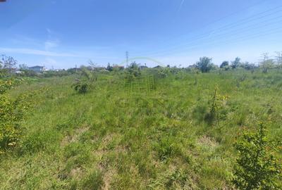 Teren Construcții intravilan de 390 mp, în Malu Mare