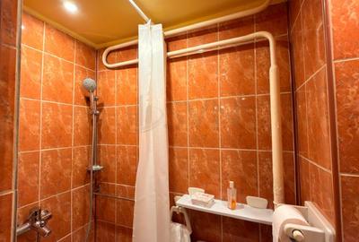 REA1027987 Apartament 3 camere I Obor I De vanzare - 13