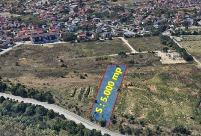 Teren agricol intravilan de 5000 mp, în Chiajna