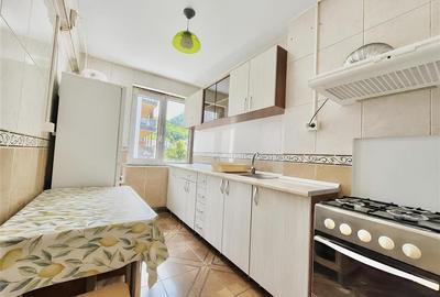 Apartament central 2 camere si parcare zona Patria mall AFI - 6