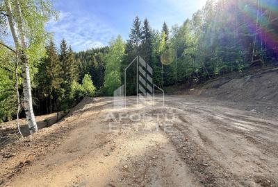 Oportunitate! Domeniu montan, cu lac propriu, oras Lupeni, Hunedoara - 17