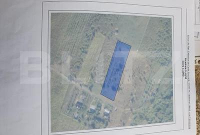 Teren Construcții intravilan de 2150 mp, în Viișoara