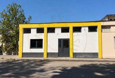 Inchiriere Spațiu Comercial Craiovei - Negoiu - 4
