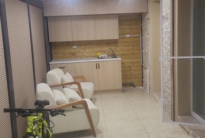 Apartament 3 camere, Cosmopolis, mobilat si utilat, terasa, gradina - 8